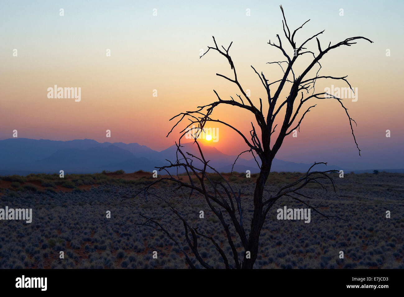 Africa, blu ora, Namibia, dune di sabbia, tramonto, Wolwedans, Foto Stock