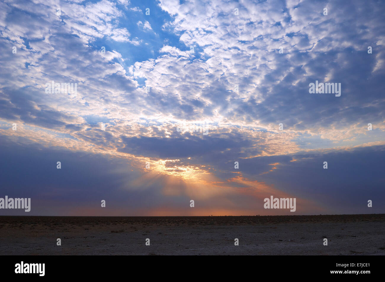 Africa, Etosha, Namibia, tramonto, nubi Foto Stock