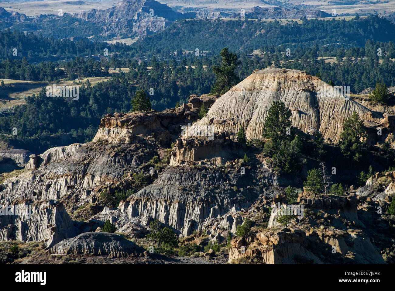 Makoshika, paesaggio, rocce, Parco Statale, Montana, USA, Stati Uniti, America, Foto Stock