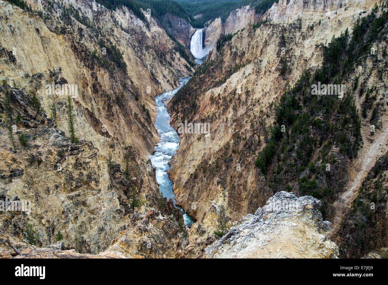 Abbassare Yellowstone, cadute, Yellowstone National Park, Wyoming USA, Stati Uniti, America, acqua caduta Foto Stock