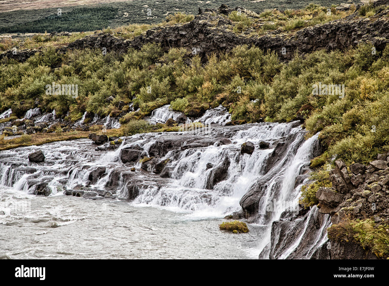 Barnafoss, Cliff, autunno, umore, Hraunfossar, Hvita, Islanda, Europa, cascata, bambino cascata, gulch, area di protezione, acqua, wa Foto Stock