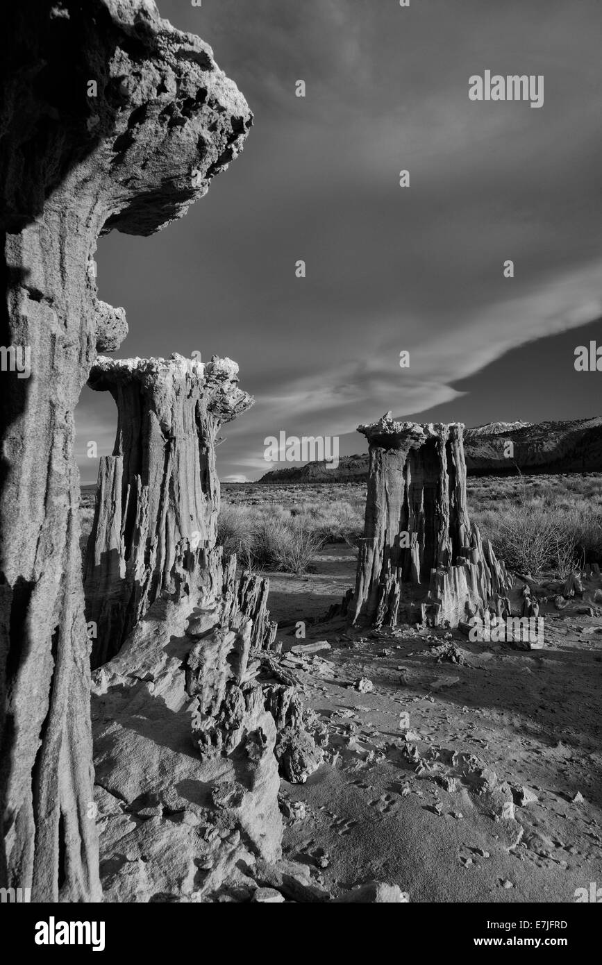 Stati Uniti d'America, Stati Uniti, America, California, tufo, Mono Lake, sabbia tufas, Sierra orientale, erosione, paesaggio, natura, verticale, n. p Foto Stock