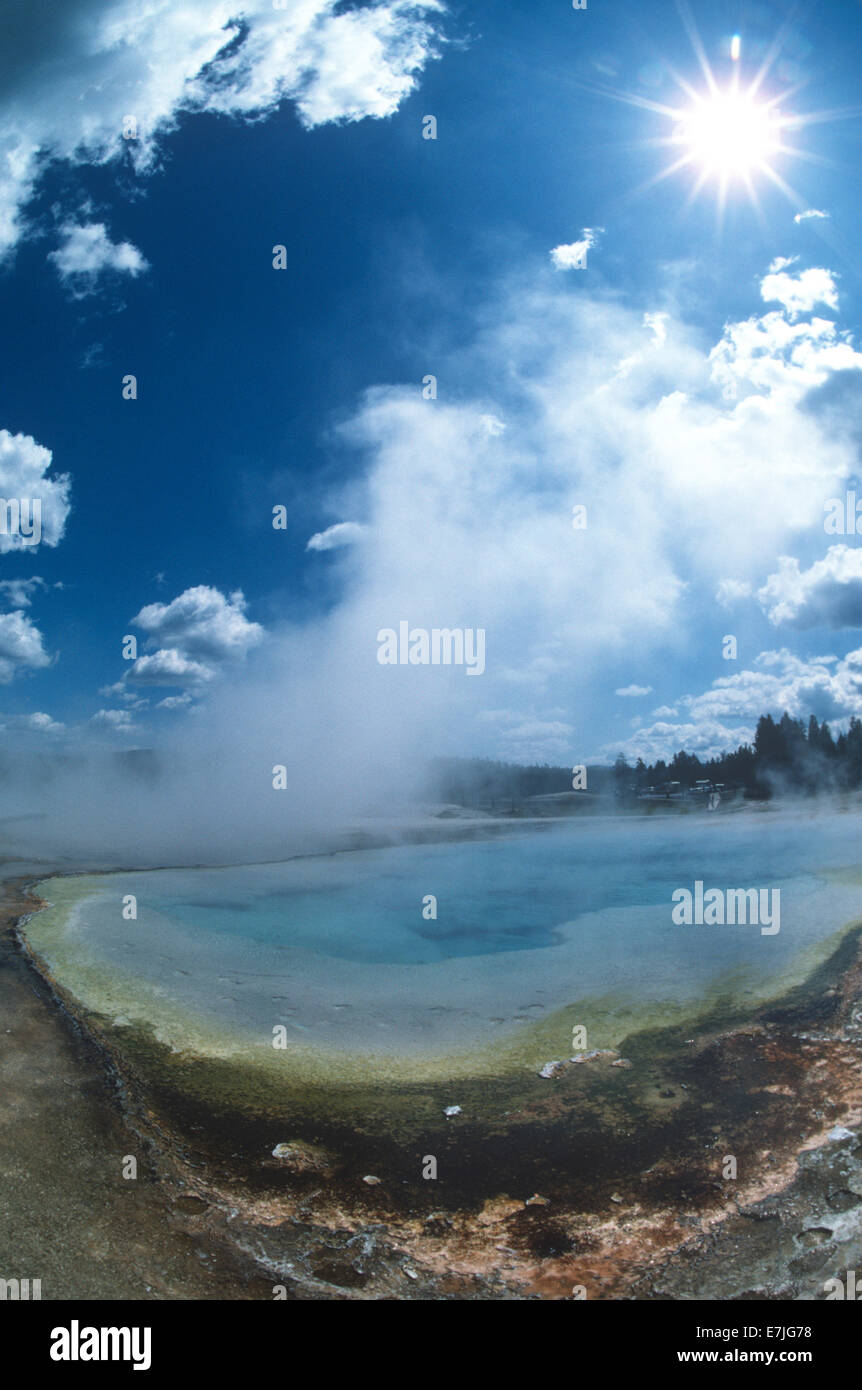 Vapore termale, Bacino di biscotto Hot Springs, Yellowstone, Parco Nazionale, Wyoming Foto Stock