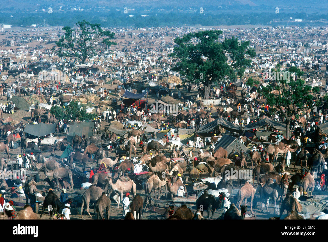 Festival di Pushkar, Pushkar, Rajasthan, India Foto Stock