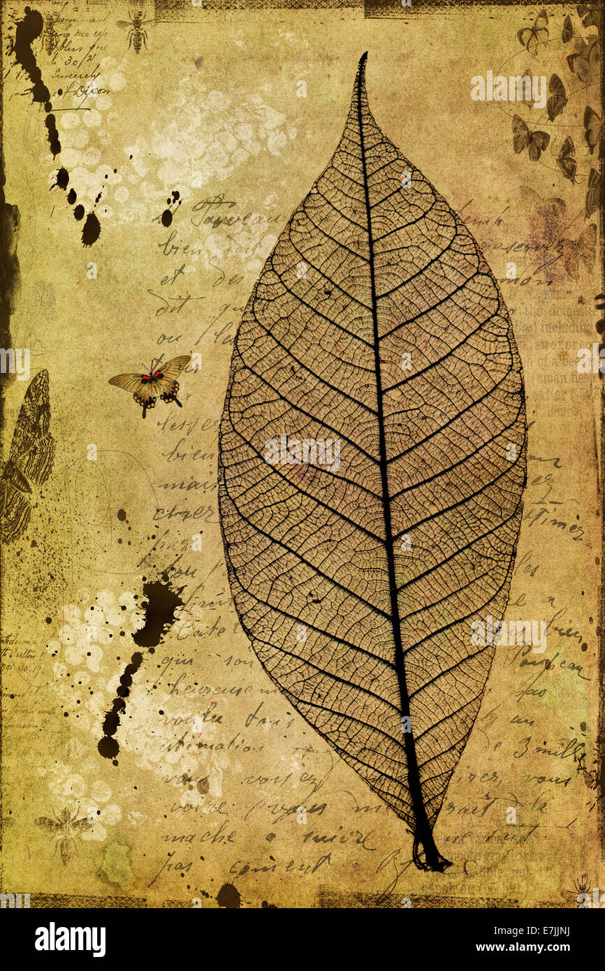 Un collage di natura inclusi gli insetti,foglia e testo Foto Stock