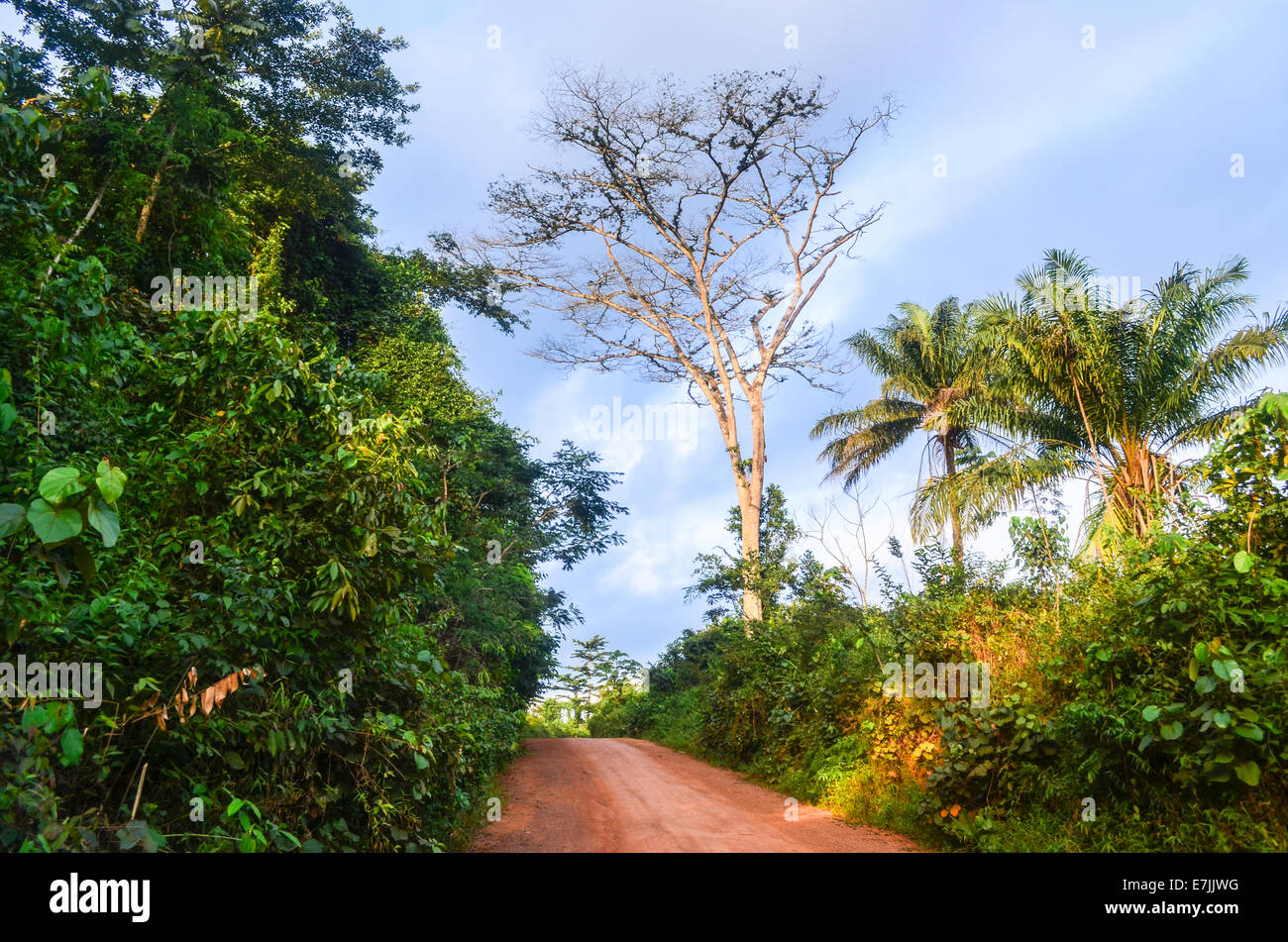 Una strada sterrata di fango terra rossa nella campagna di Nimba County, Liberia, Africa Foto Stock