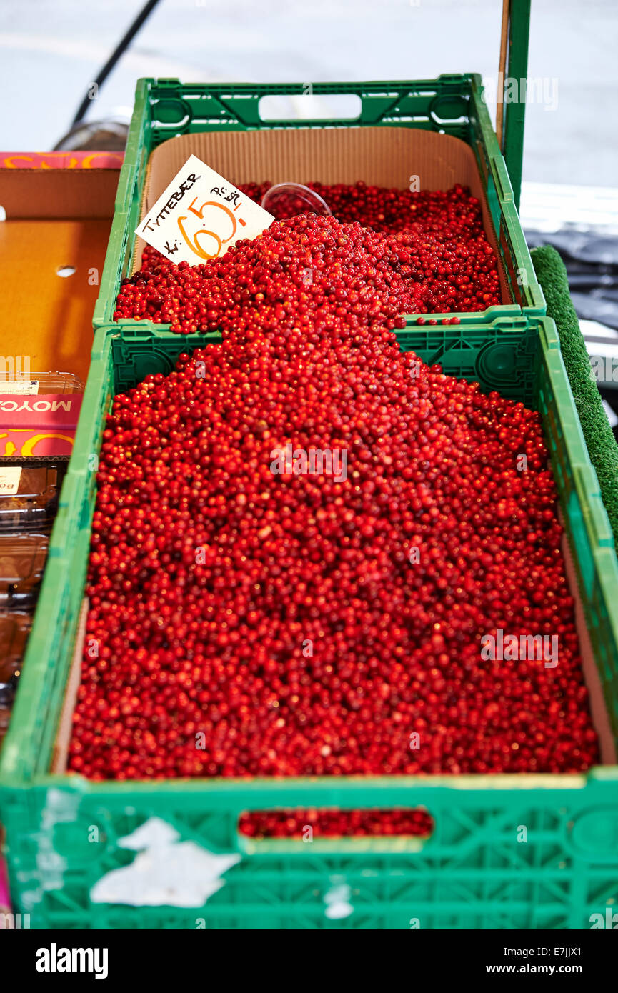 Tyttebaer (Lingonberry) frutta in vendita su uno stand di mercato al mercato del pesce di Torget, Bergen, Norvegia, 2014. Foto Stock