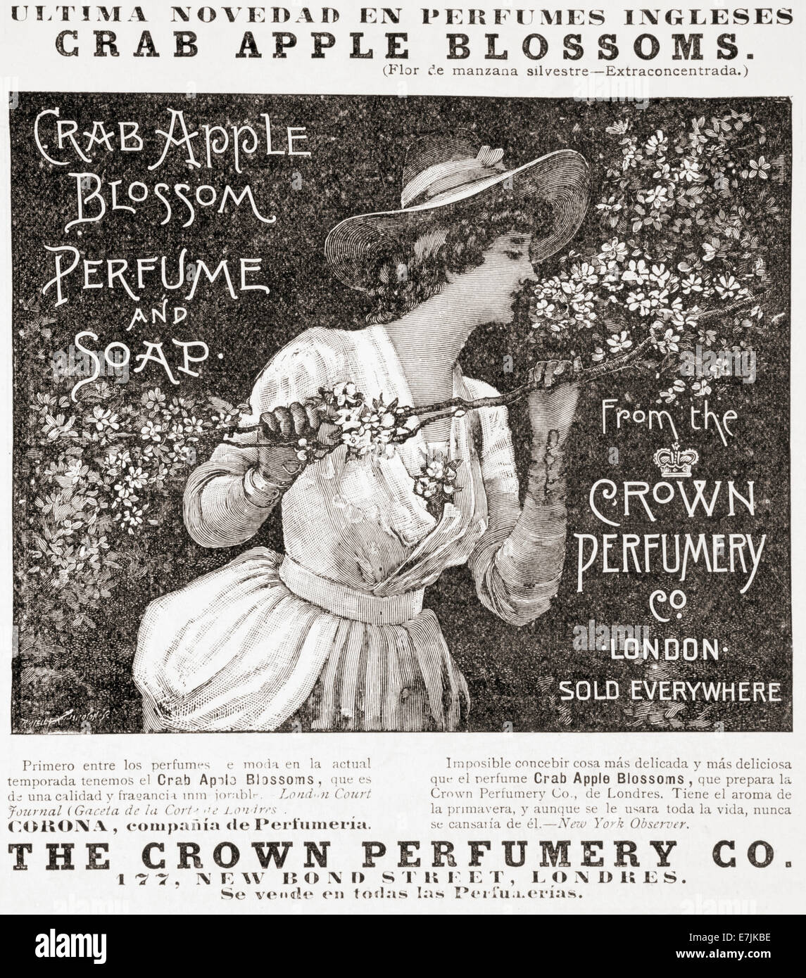 Un xix secolo pubblicità per Crab Apple Blossom profumo e sapone dalla corona profumeria Co. Londra, istituito nel 1872. Foto Stock