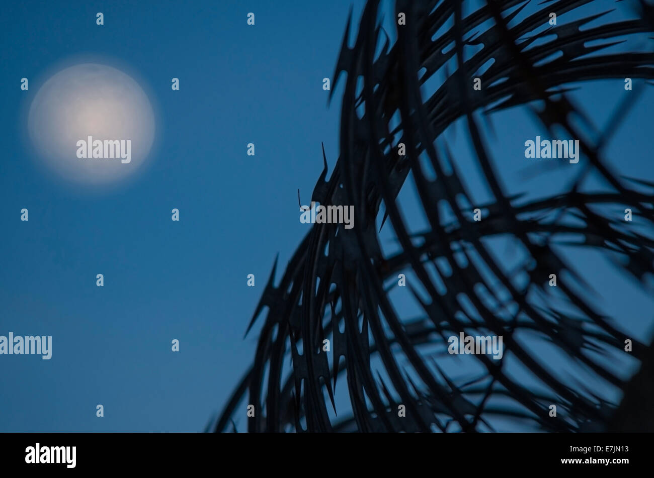 Filo di concertina il confine del cielo notturno con la luna come sfondo, il fuoco selettivo Foto Stock