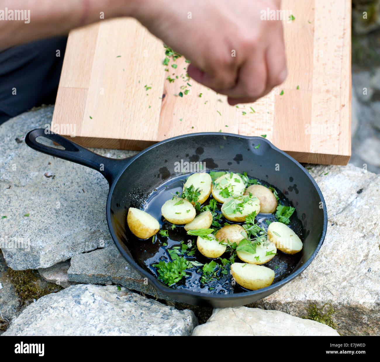 La massa di argilla forno di cob progetto. Ora il forno è costruito il suo tempo di cucinare. Le erbe che viene aggiunto a una ghisa pan di patate Foto Stock