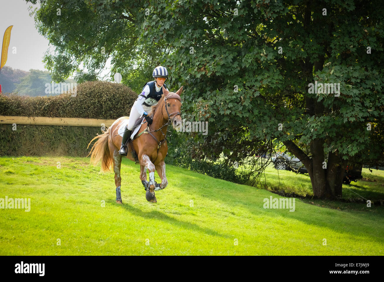 Caroline Powell a Blenheim International Horse Trials 2014 HALLTOWN equitazione HARLEY Foto Stock