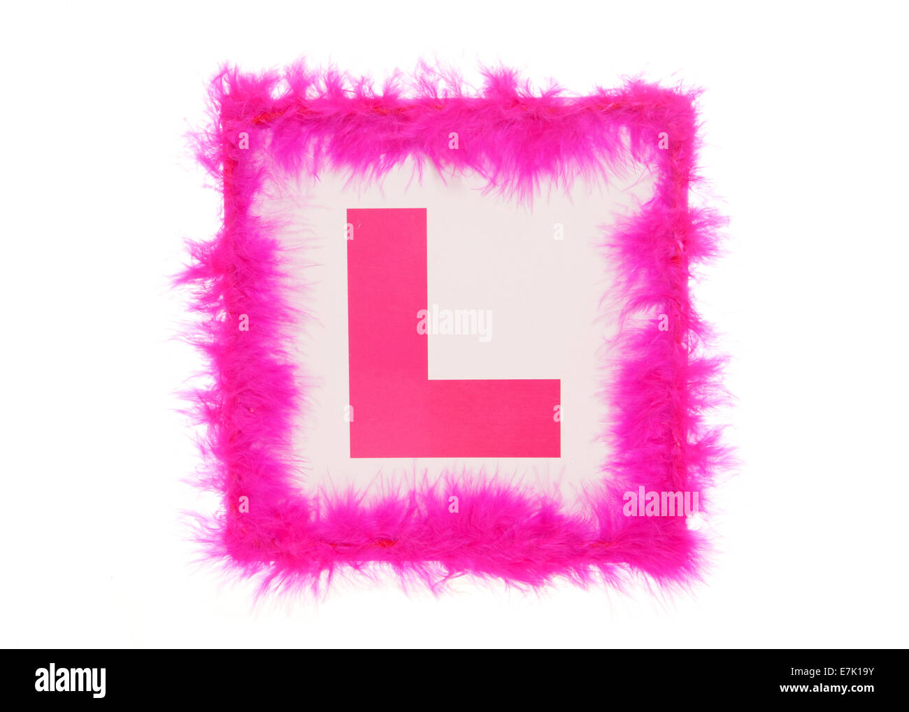 Allievo Hen Party Ritaglio piastra Foto Stock