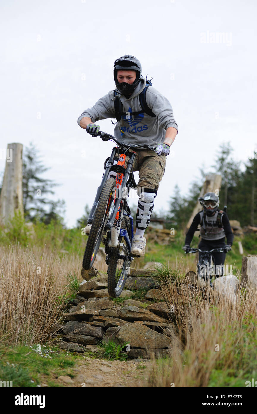 Discesa con la mountain bike a un trail center Foto Stock