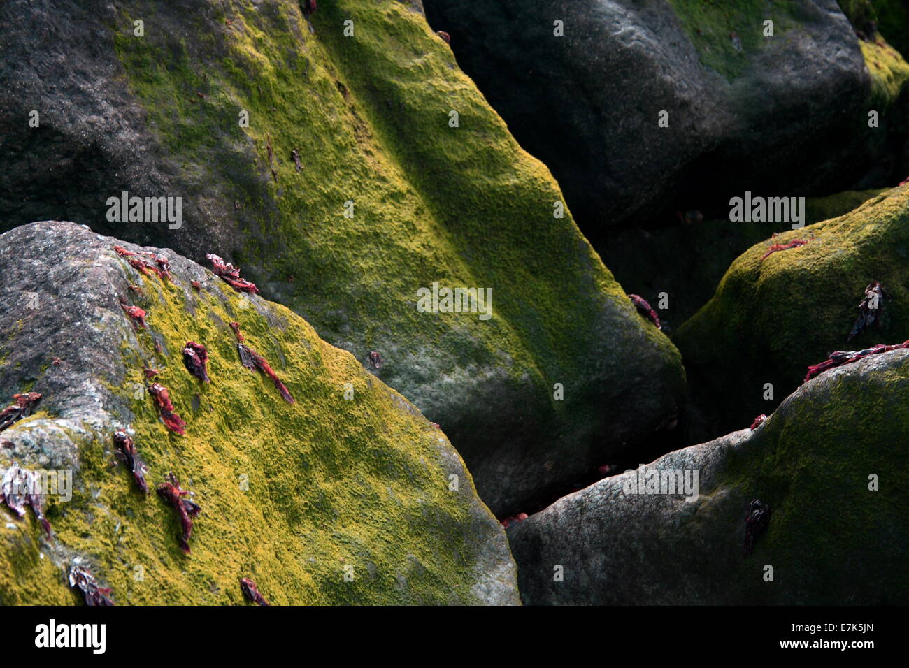 Valle di rocce din zoome vicino ad accentuare la scala Foto Stock
