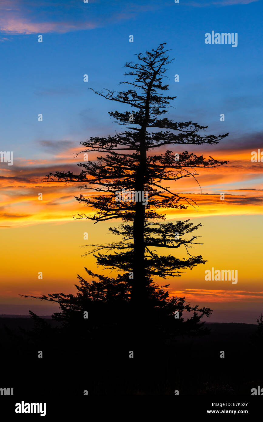 Tramonto in Oregon Blue Mountains. Foto Stock
