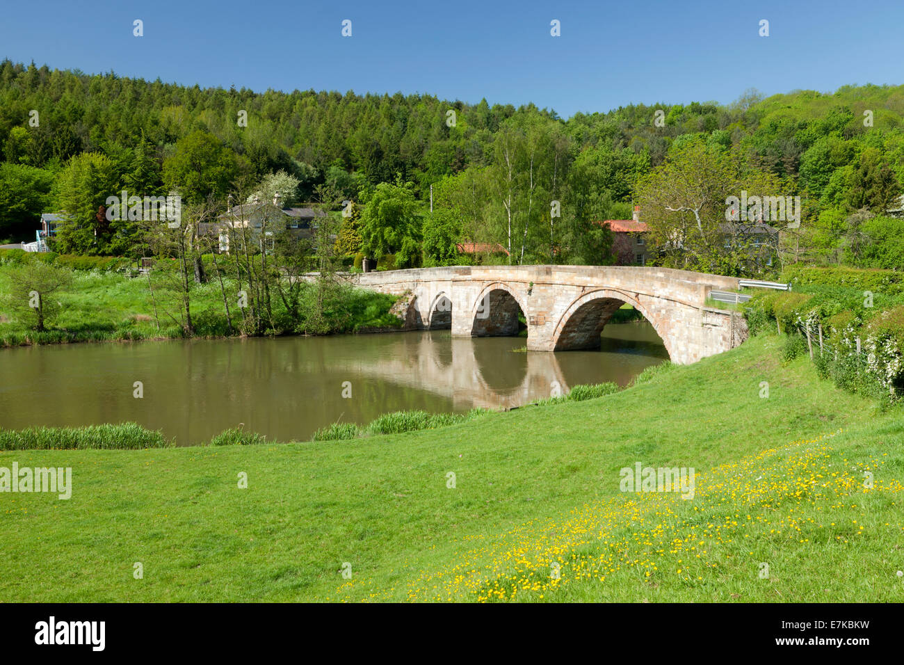 Arco in pietra ponte sul fiume Derwent a Kirkham Priory, East Yorkshire, Inghilterra. Foto Stock