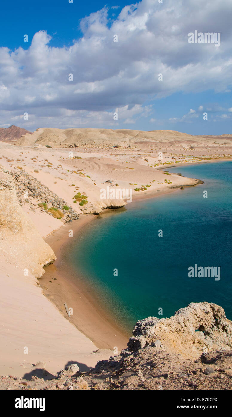 Turtle Bay sul Mar Rosso in Egitto Foto Stock