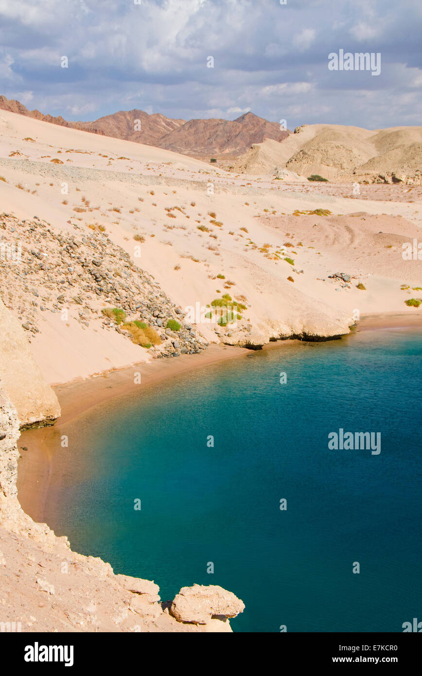 Turtle Bay sul Mar Rosso in Egitto Foto Stock