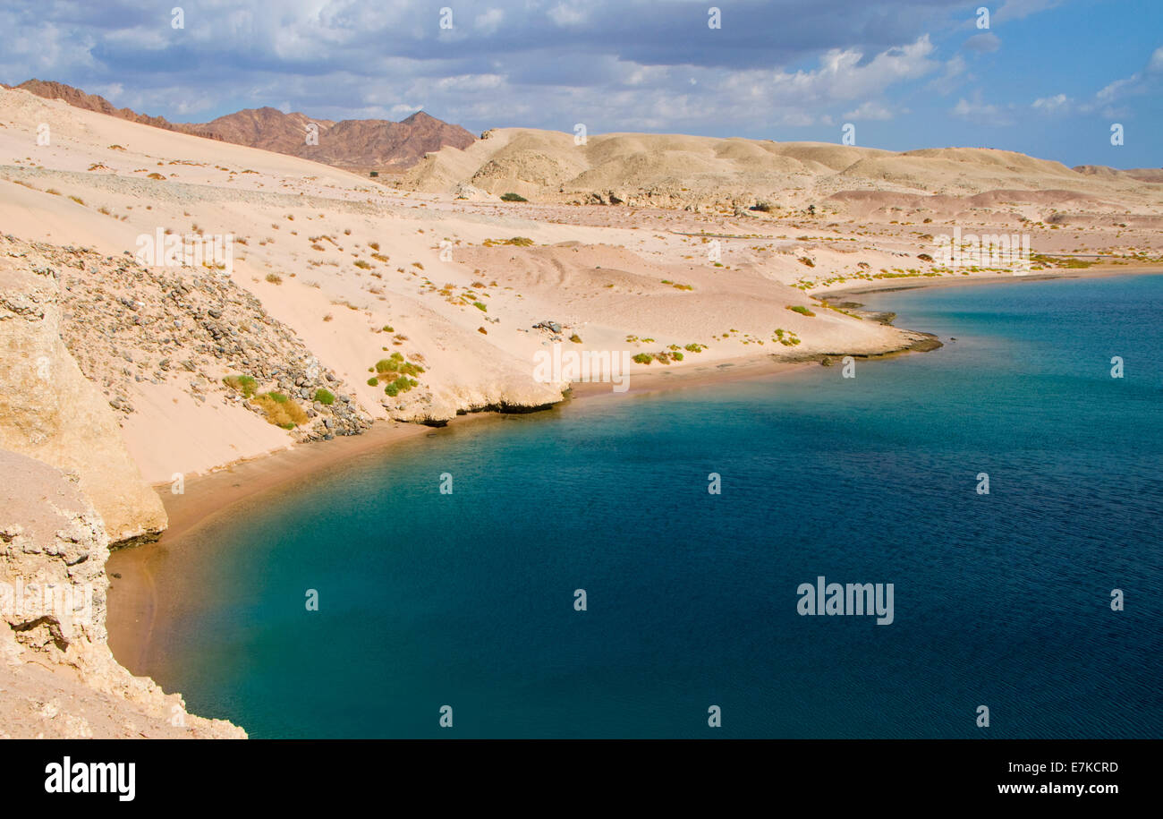 Turtle Bay sul Mar Rosso in Egitto Foto Stock