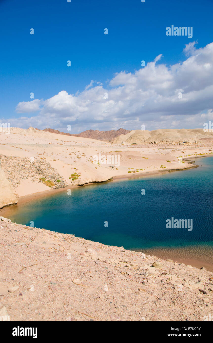 Turtle Bay sul Mar Rosso in Egitto Foto Stock