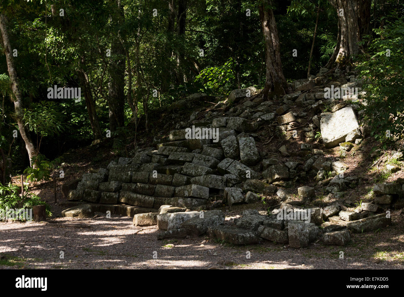 Copan Ruinas parco archeologico, Copan, Honduras Foto Stock