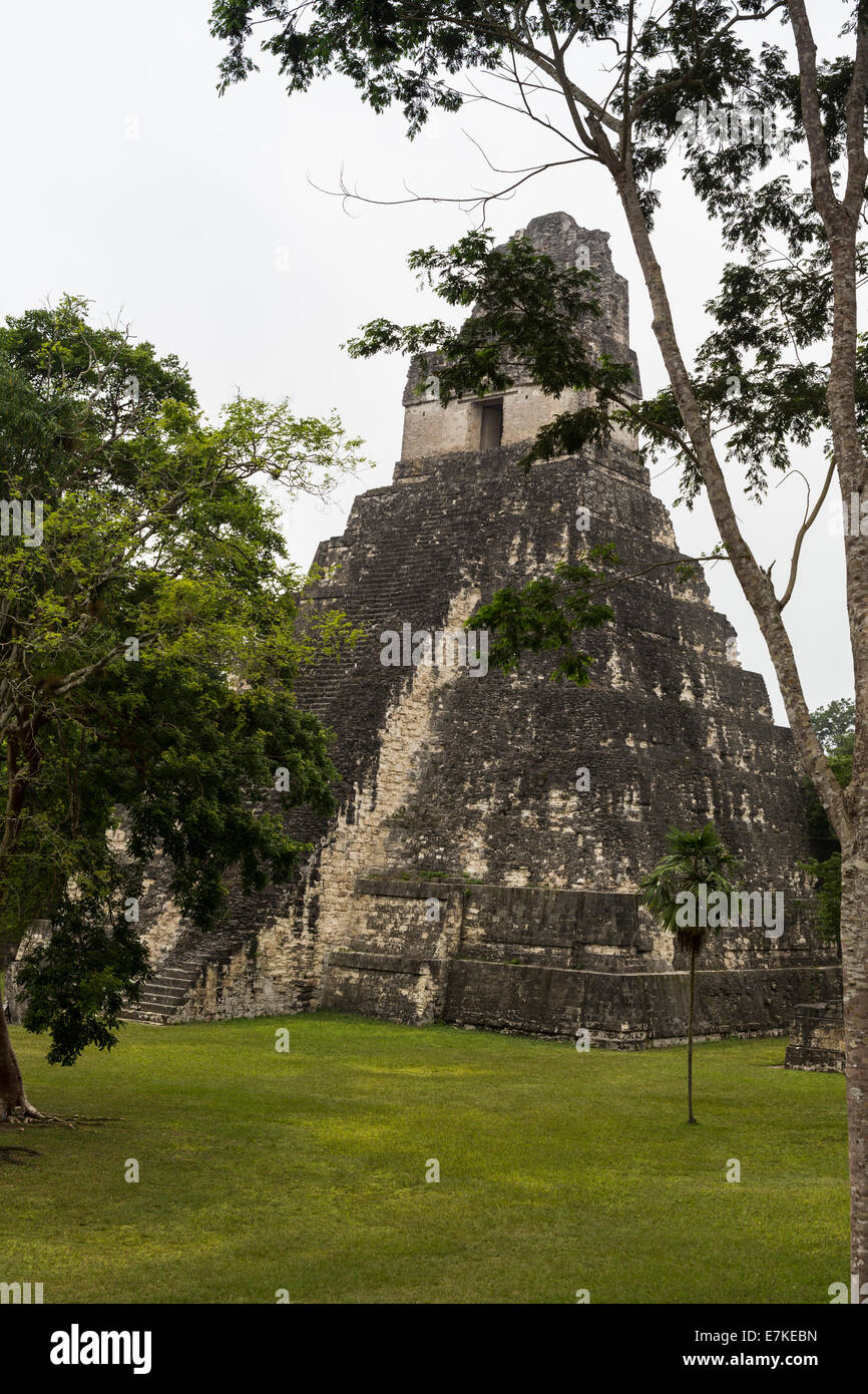 Tempio 1 (Jaguar tempio) Grande Plaza, il Parco Nazionale di Tikal, El Petén, Guatemala Foto Stock