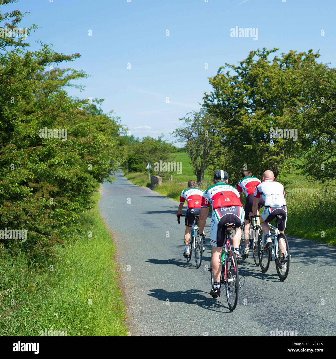Un gruppo di ciclisti su strada aperta. Foto Stock