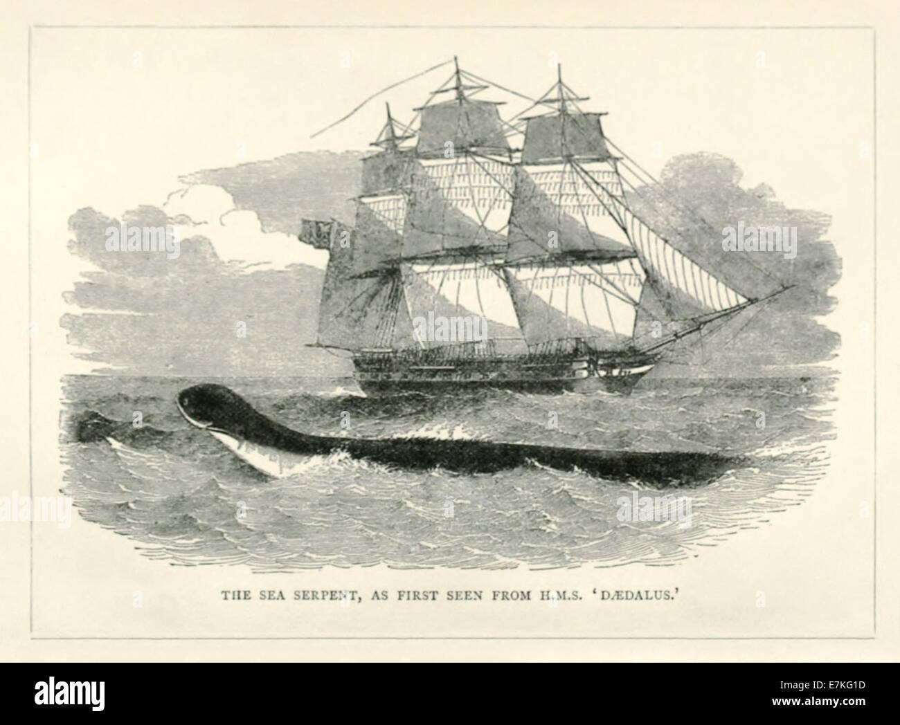 Il grande serpente Marino , come primo visto da HMS Daedalus 1848. Vedere la descrizione per maggiori informazioni. Foto Stock