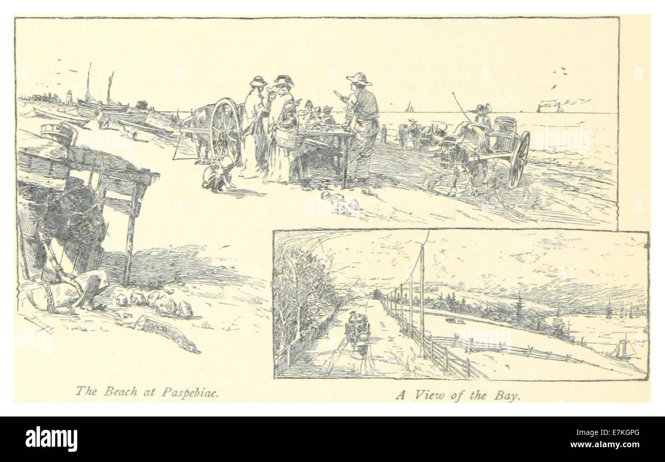 Un'illustrazione del 1885 della spiaggia di Paspebiac, una zona costiera in Canada. Il disegno mette in evidenza il paesaggio naturale, con la sua costa, la sabbia e le viste sull'oceano, fornendo un'istantanea di questa regione durante la fine del XIX secolo. Foto Stock