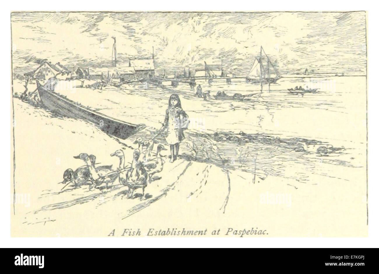 Un'illustrazione del 1885 raffigurante un *stabilimento ittico* a *Paspebiac*, un villaggio in Quebec, Canada. Il disegno riflette l'industria della pesca e la sua importanza per l'economia locale durante la fine del XIX secolo. Foto Stock