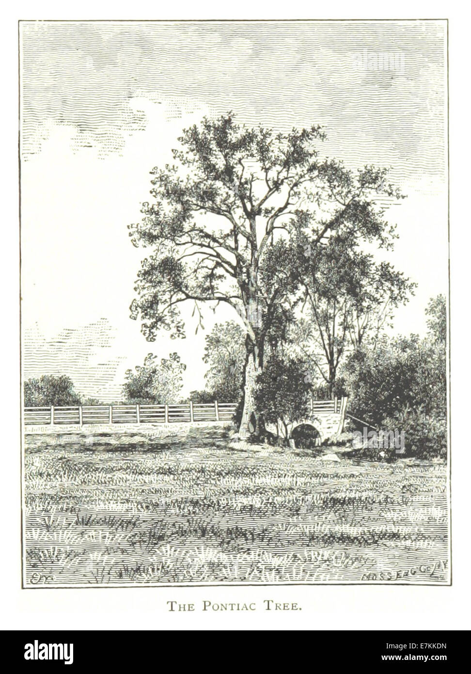 Questo schizzo del 1884 di Farmer illustra il Pontiac Tree, un albero storicamente significativo a Detroit, spesso associato al folklore locale. Il disegno cattura la forma dell’albero e la sua importanza culturale nella zona. Foto Stock