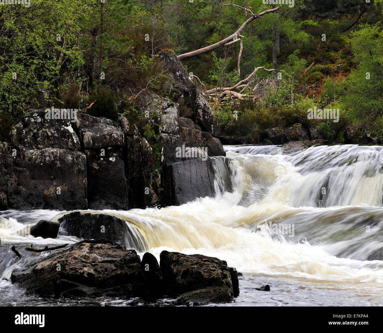 Il corso a cascata di Garbh Uisge, Glen Affrich, Highlands scozzesi, REGNO UNITO Foto Stock