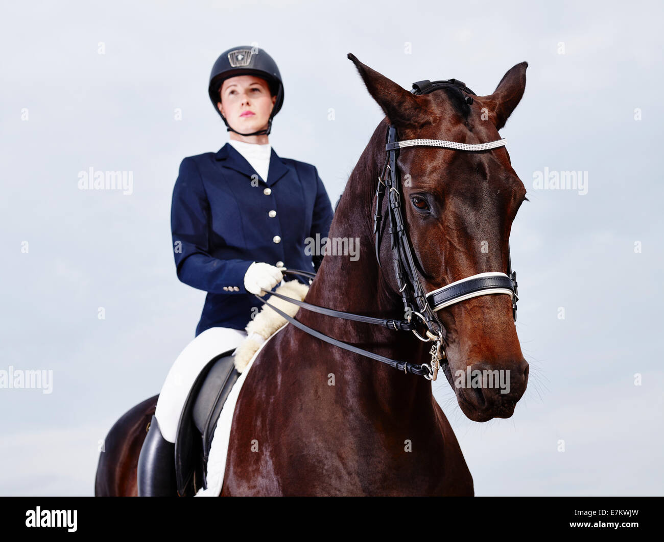 Marrone a cavallo e bella donna che indossa equitazione abbigliamento - focus sul cavallo Foto Stock