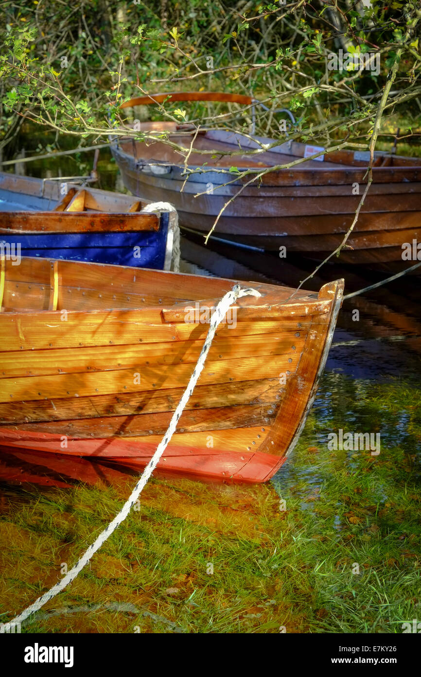 Barche a remi ormeggiate sul bordo di un lago Foto Stock