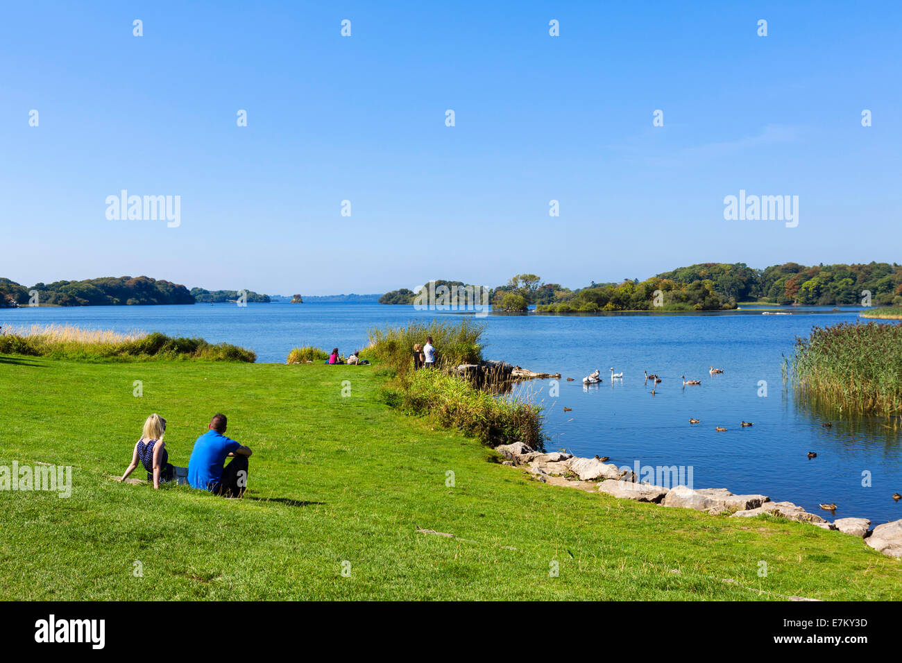 Le rive del Lough Leane vicino Castello di Ross, Parco Nazionale di Killarney, nella contea di Kerry, Repubblica di Irlanda Foto Stock