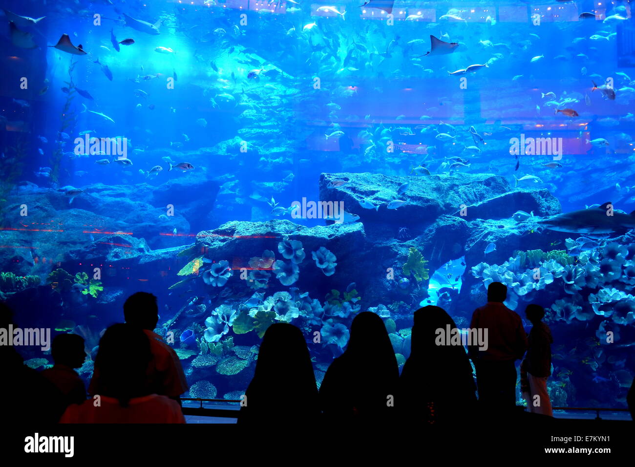 Donne Emirati in piedi di fronte all'Acquario del centro commerciale di Dubai, Dubai, Emirati Arabi Uniti Foto Stock