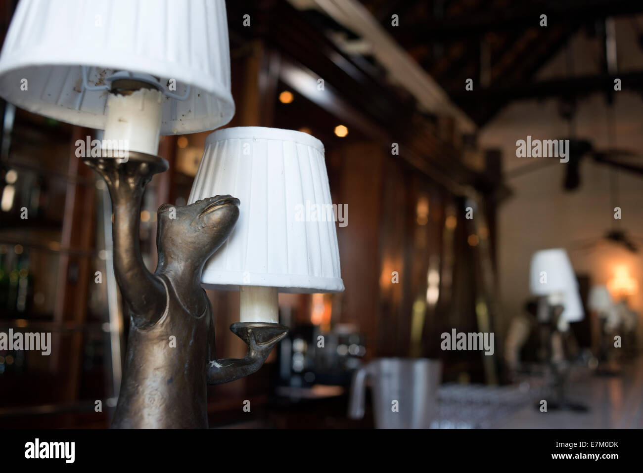 Bear lampada. Il Royal Livingstone Hotel Ristorante. Il cibo è gustoso presso il Royal Livingstone, e high tea è una vera delizia (vedere il bel Foto Stock