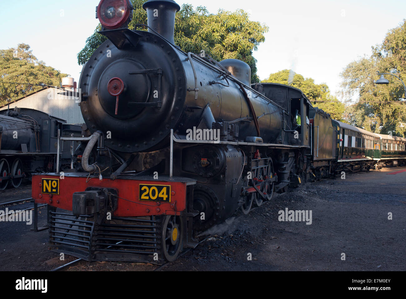 Il Royal Livingstone Express treno di lusso. Soddisfare la vostra romantica fantasia, escape su un tardo pomeriggio viaggio in treno tra il untame Foto Stock