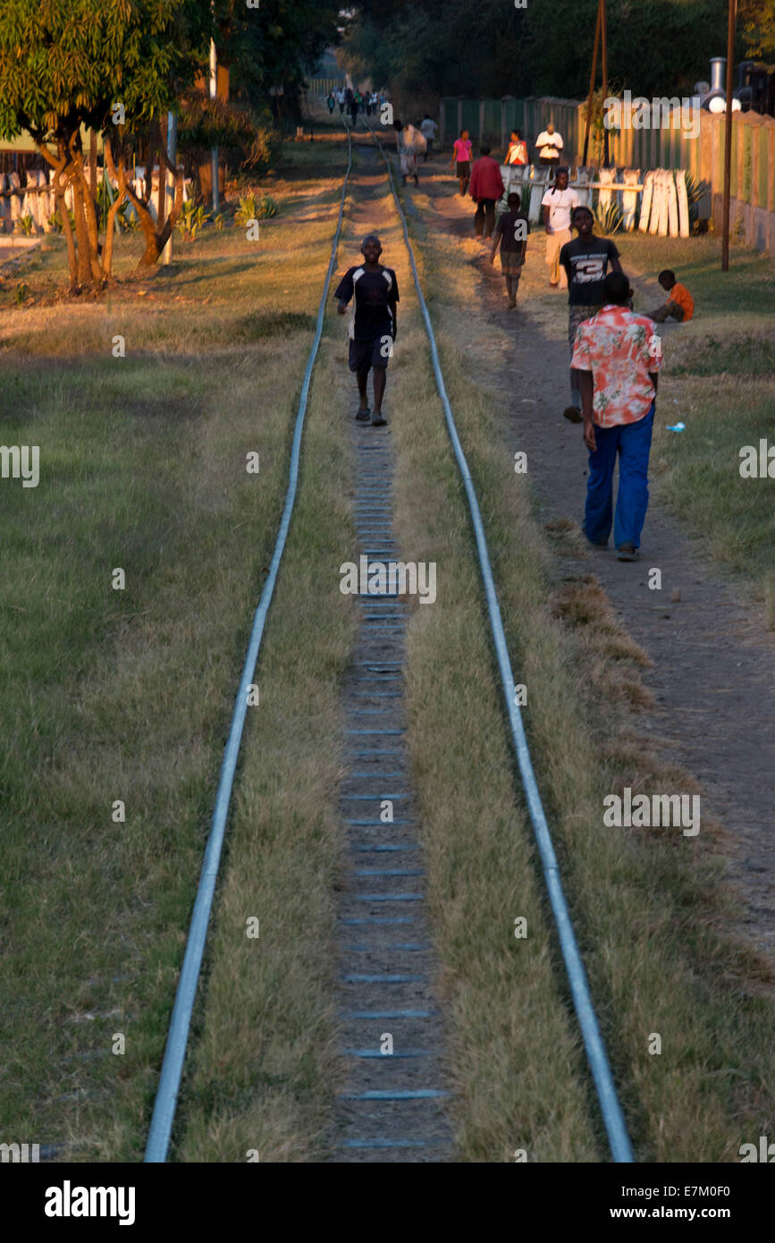 Ferrovia. Zambia. Tramonto nella Royal Livingstone Express treno di lusso. La locomotiva a vapore, 156 è un decimo di classe originariamente belo Foto Stock