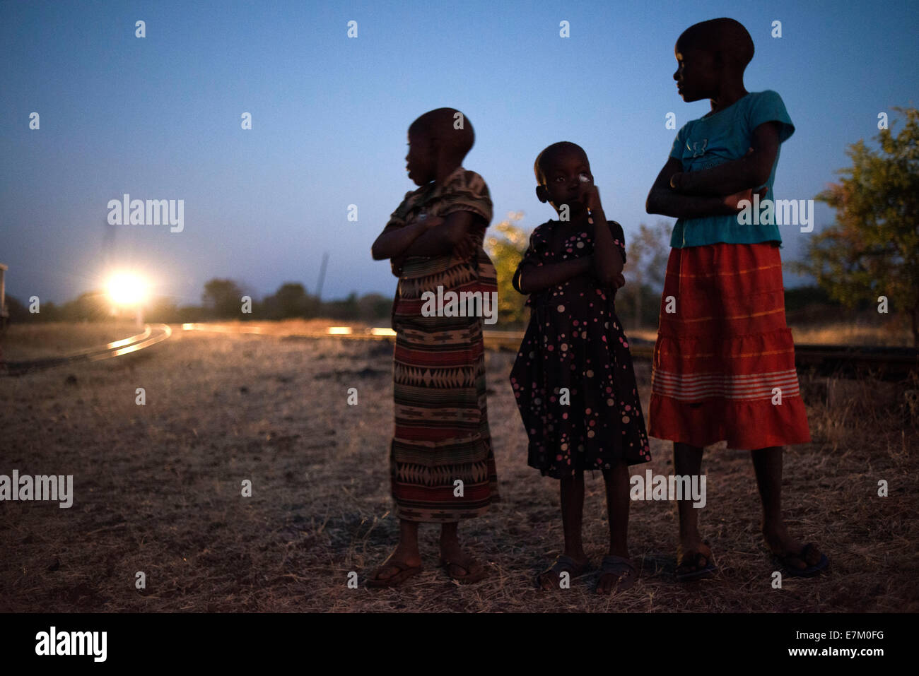 Ferrovia. Zambia. Tramonto nella Royal Livingstone Express treno di lusso. La locomotiva a vapore, 156 è un decimo di classe originariamente belo Foto Stock
