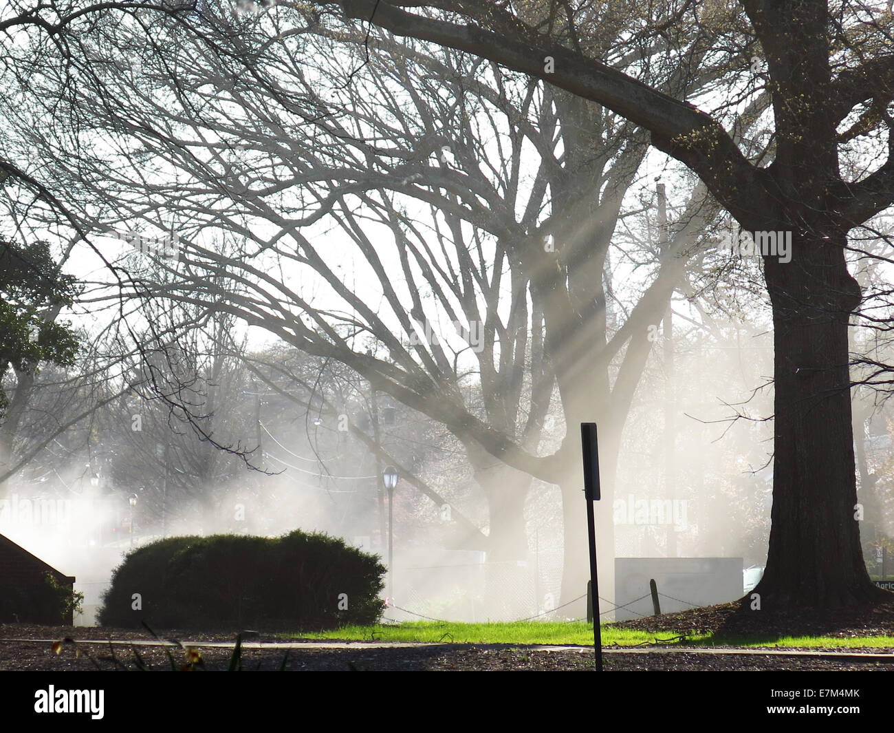 Mattinata nebbiosa che mostra la luce del sole in una zona rurale lato strada Foto Stock