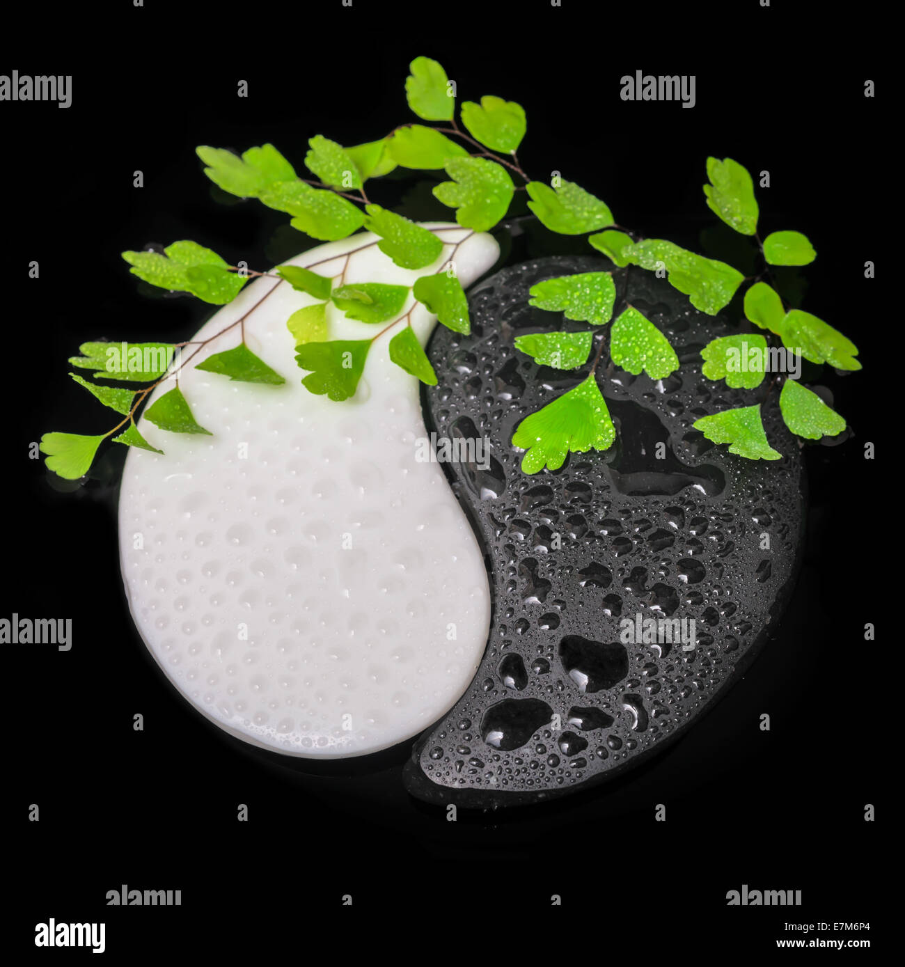 Il simbolo yin-yang di tessitura della pietra, il segno dei due elementi con ramoscello fern e pochi acqua su sfondo nero Foto Stock