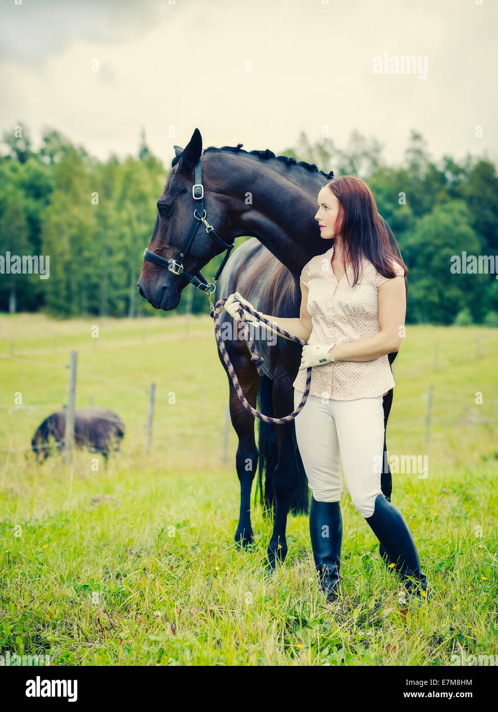 Donna attraente e cavallo nel campo, croce immagine elaborata Foto Stock