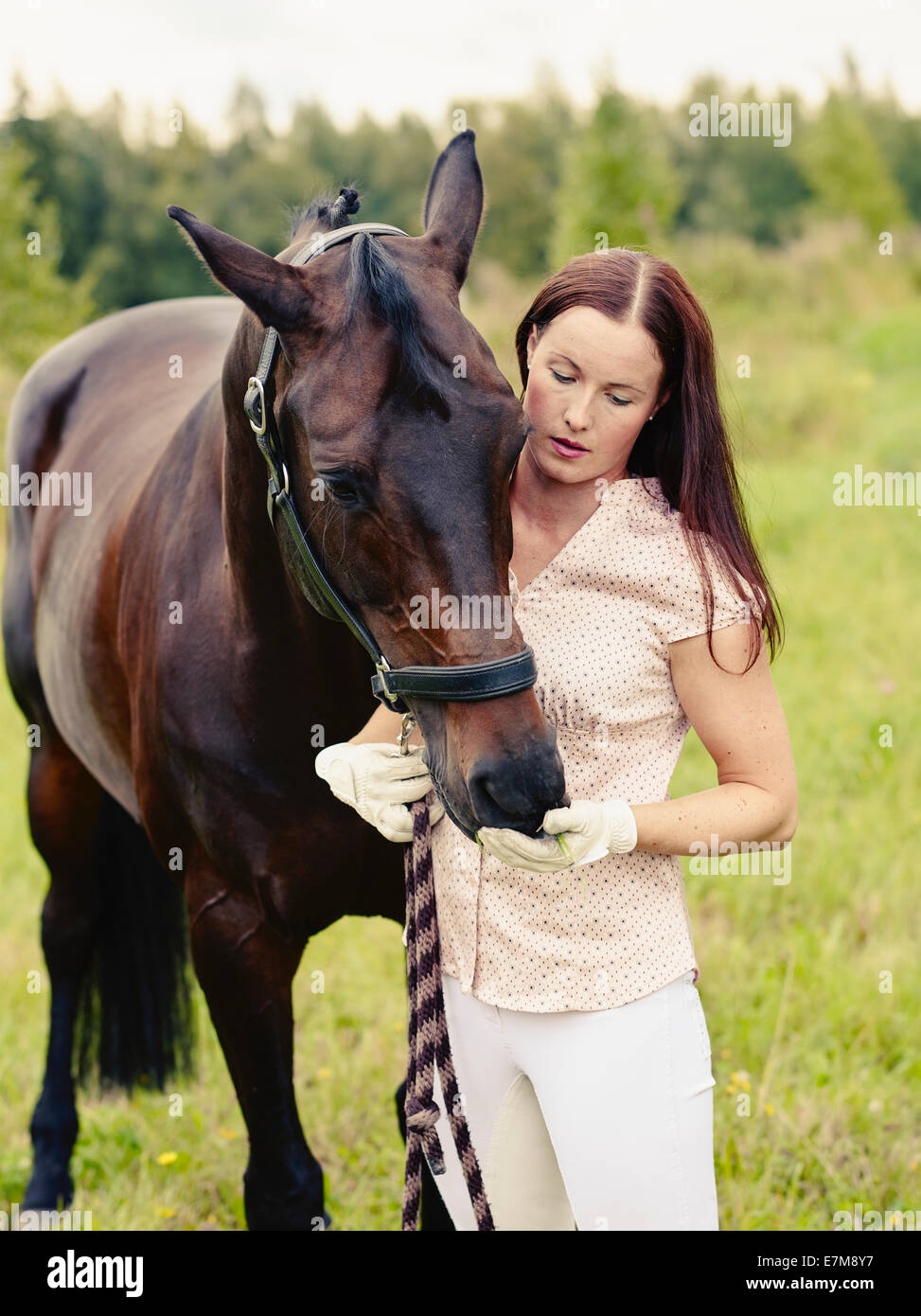 Donna attraente e cavallo nel campo, croce immagine elaborata Foto Stock