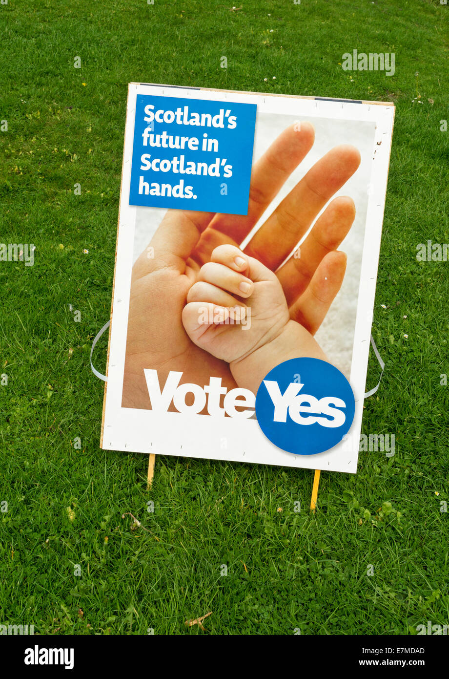 Indipendenza scozzese referendum 2014 votare sì segno SCOTLANDS FUTURO IN SCOTLANDS MANI Foto Stock