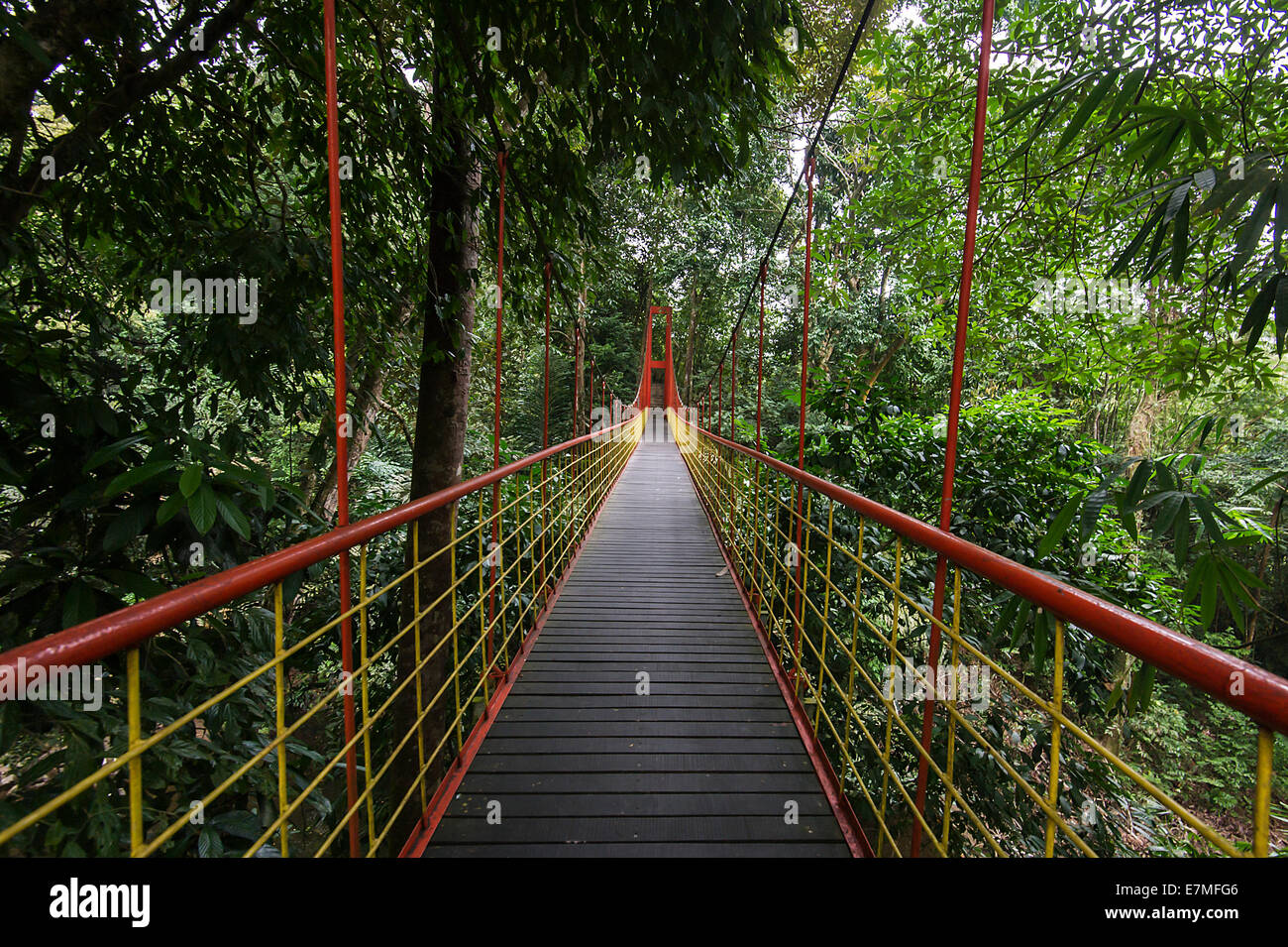 Il parco ricreativo scenario a Serian parte del distretto di Sarawak nature park. Foto Stock