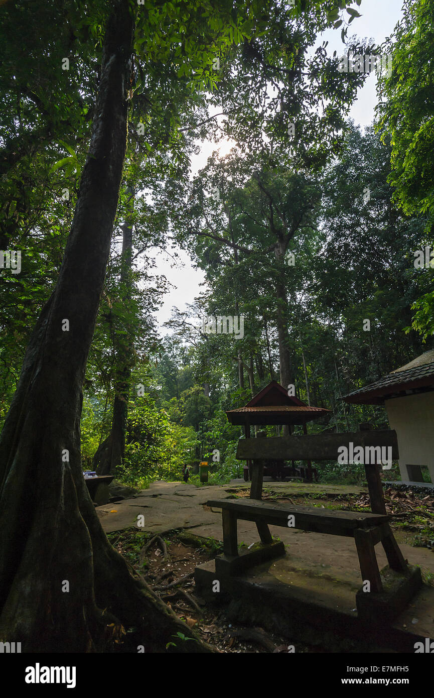 Banco per il parco ricreativo per la riunione di famiglia a Serian distretto, a 40 minuti di distanza in auto dalla città di Kuching Foto Stock