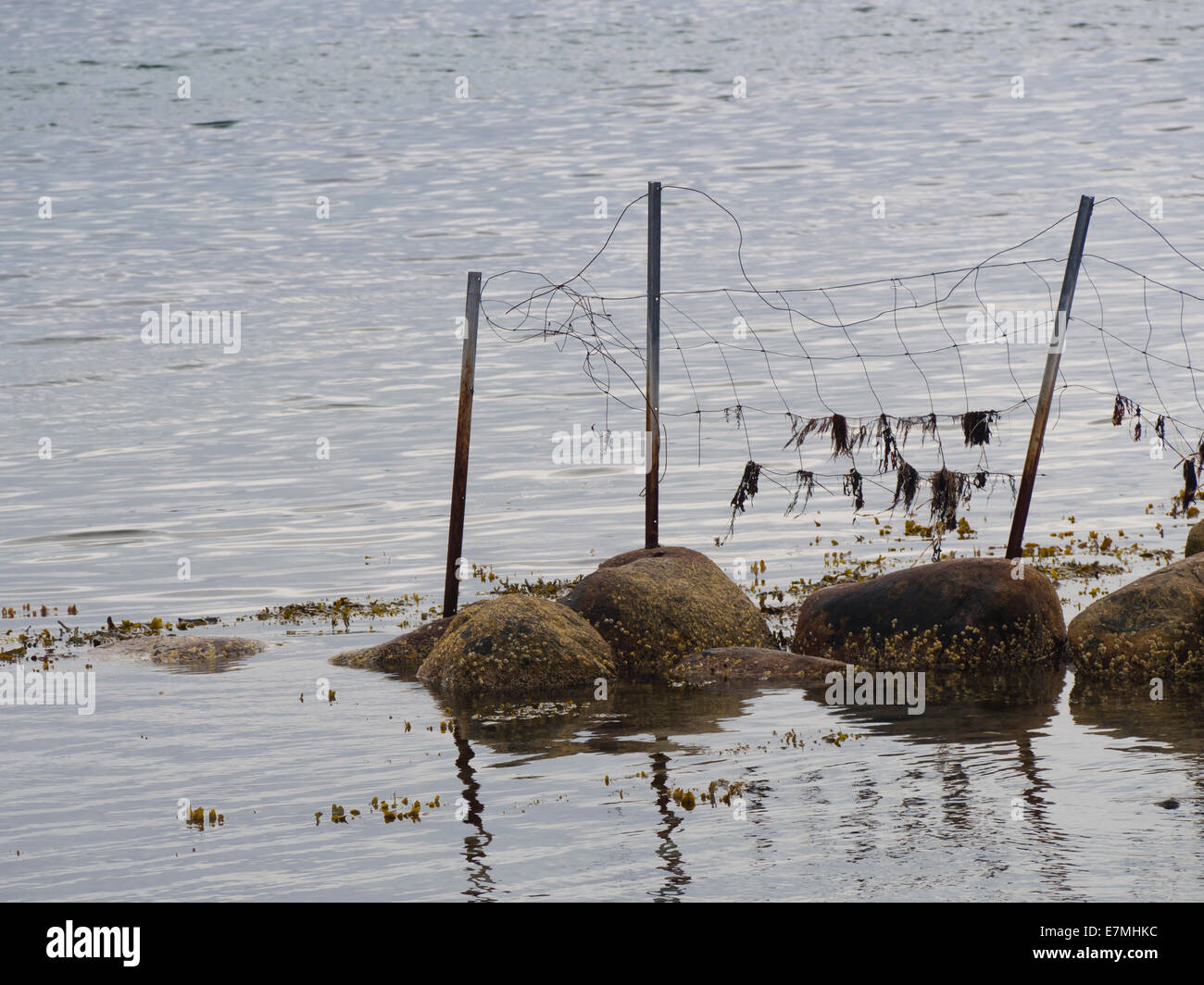 Albergo sul mare di frontiera, weathered recinto di filo sulle pietre che termina in acqua, Stavanger Norvegia Foto Stock