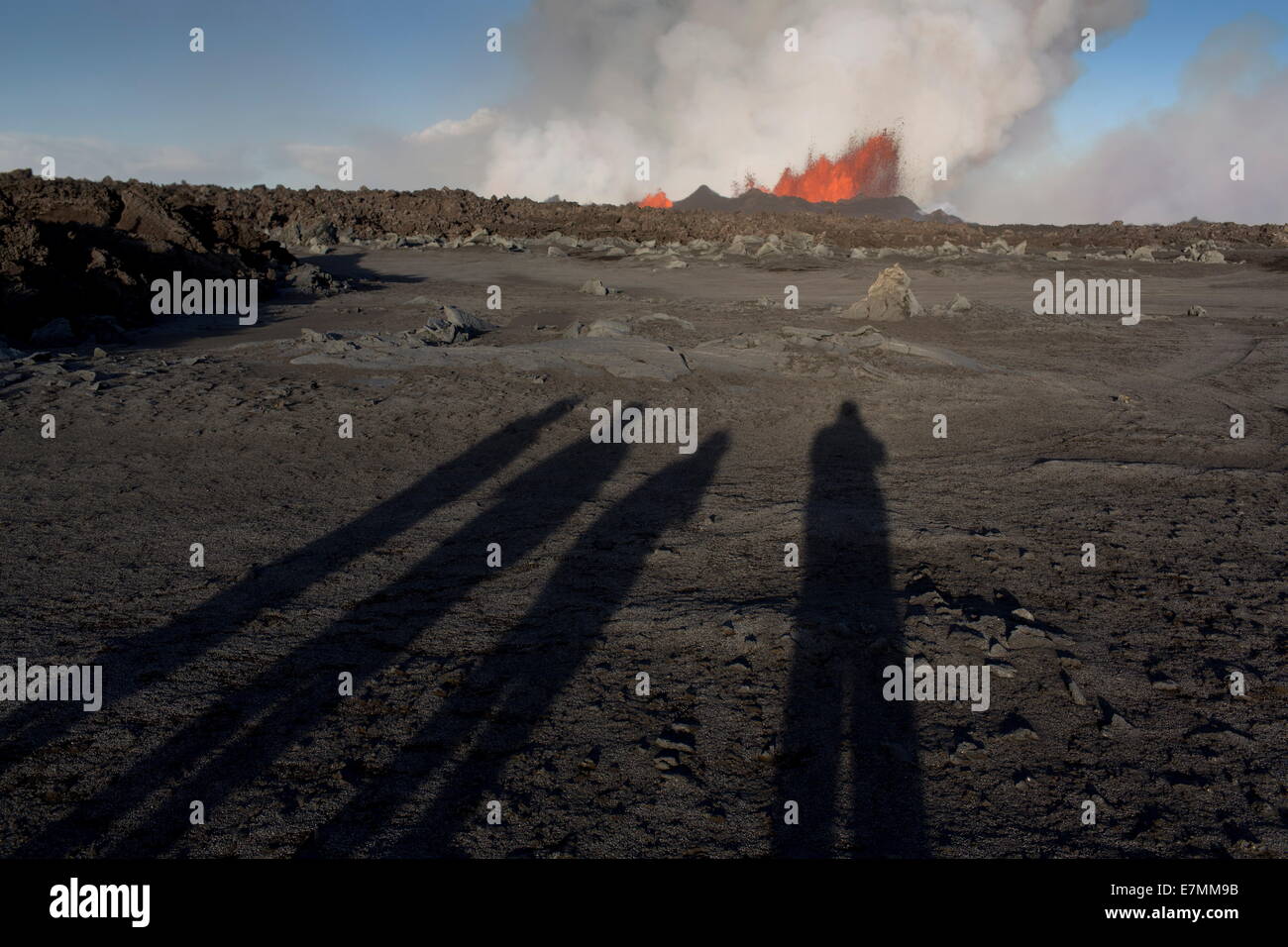 Le ombre dei fotografi riprese l eruzione del vulcano, Holuhraun, nord est Islanda - Foto Stock