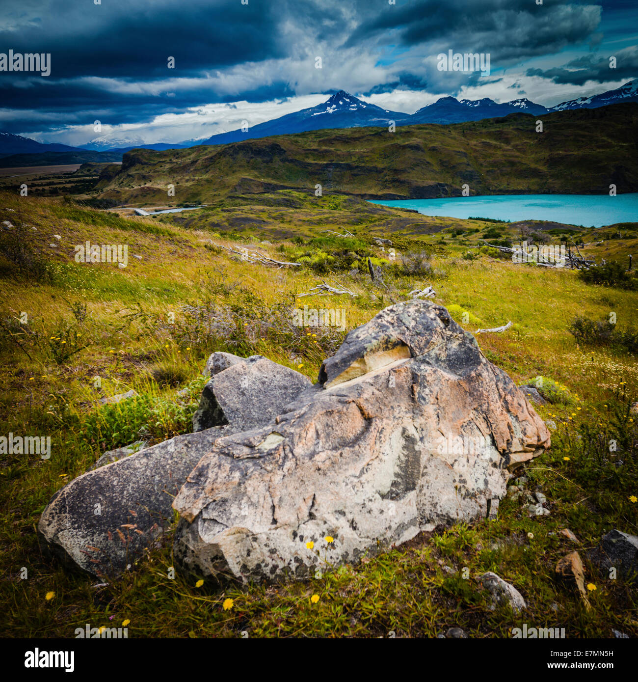 Parco Nazionale di Torres del Paine Cile. Foto Stock